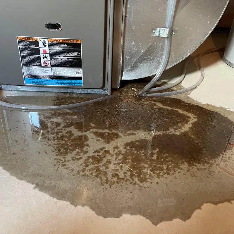 Appliance Leak Cleanup in Draper, UT