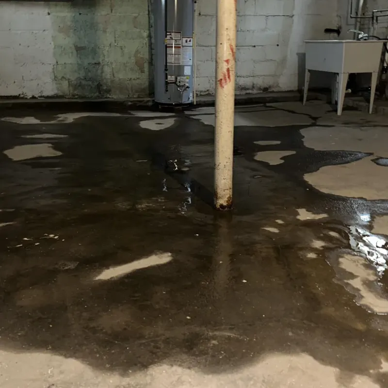 Emergency Water Extraction And Removal in Draper, UT